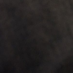 Meet your Posher, Walker